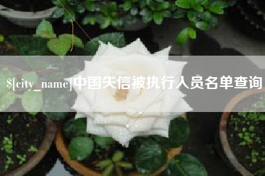 长春中国失信被执行人员名单查询