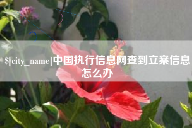 长春中国执行信息网查到立案信息怎么办