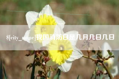 长春我国消防日是几月几日几日