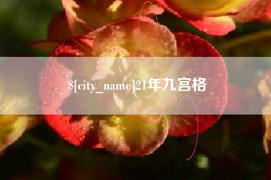 长春21年九宫格