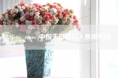 长春中国失信执行人查询官网