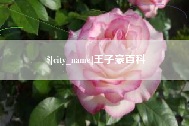 长春王子豪百科