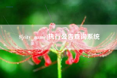 长春执行公告查询系统