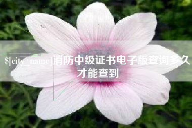 长春消防中级证书电子版查询多久才能查到