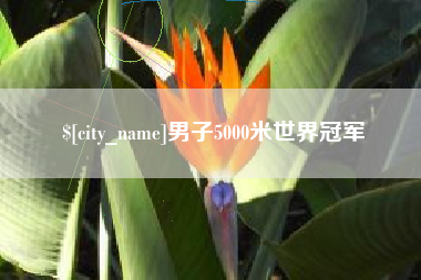 长春男子5000米世界冠军