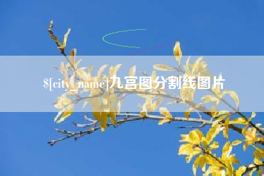 长春九宫图分割线图片