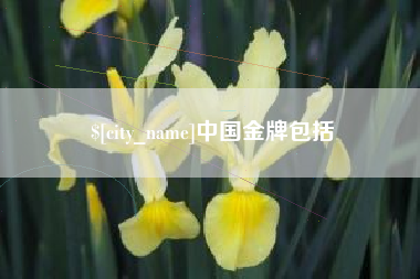 长春中国金牌包括