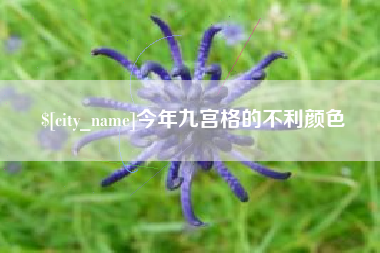 长春今年九宫格的不利颜色