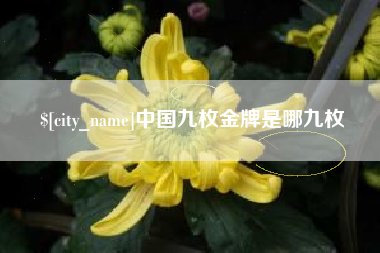 长春中国九枚金牌是哪九枚