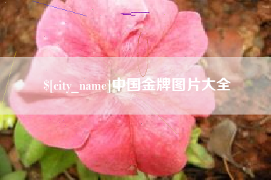 长春中国金牌图片大全