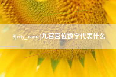 长春九宫宫位数字代表什么