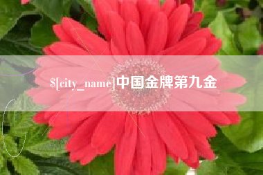 长春中国金牌第九金