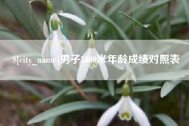 长春男子5000米年龄成绩对照表