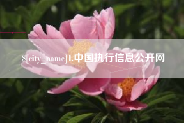 长春1.中国执行信息公开网