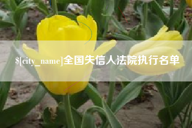 长春全国失信人法院执行名单