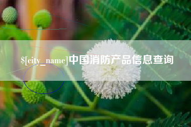 长春中国消防产品信息查询