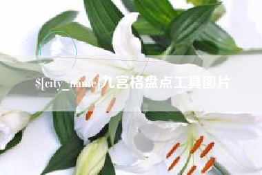 长春九宫格盘点工具图片