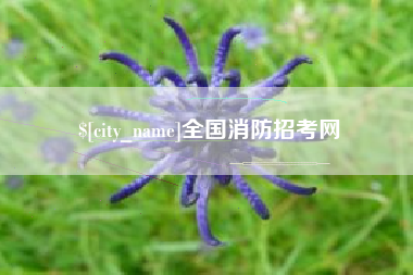 长春全国消防招考网
