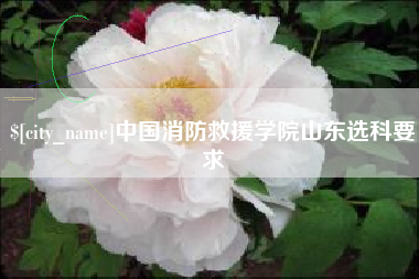 长春中国消防救援学院山东选科要求