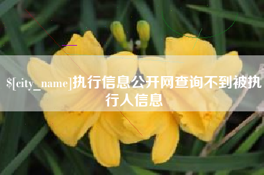 长春执行信息公开网查询不到被执行人信息