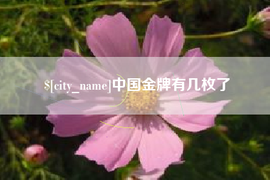 长春中国金牌有几枚了