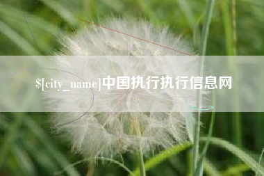 长春中国执行执行信息网