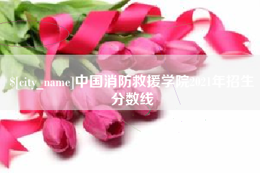 长春中国消防救援学院2021年招生分数线