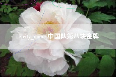 长春中国队第八块金牌