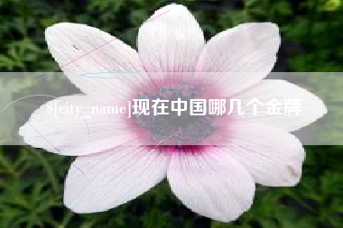长春现在中国哪几个金牌
