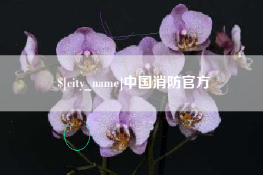 长春中国消防官方
