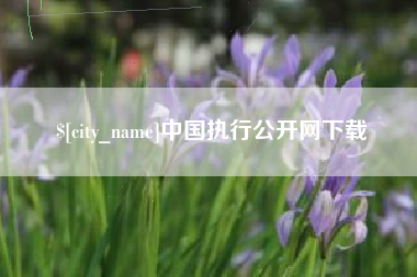 长春中国执行公开网下载
