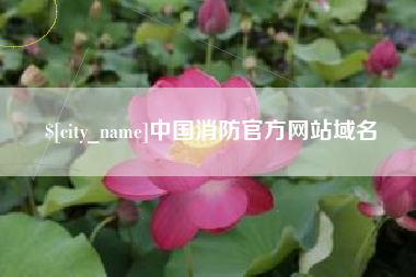 长春中国消防官方网站域名