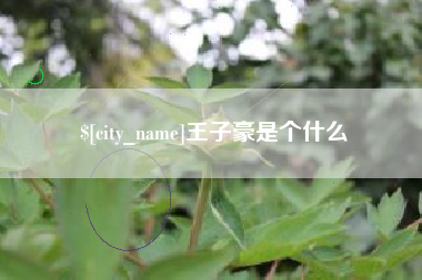 长春王子豪是个什么