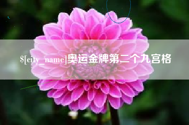 长春奥运金牌第二个九宫格