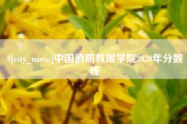 长春中国消防救援学院2020年分数线