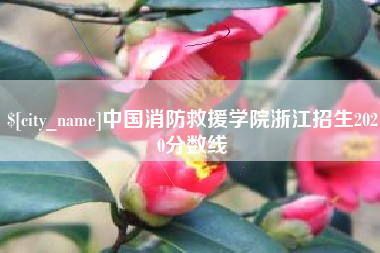 长春中国消防救援学院浙江招生2020分数线