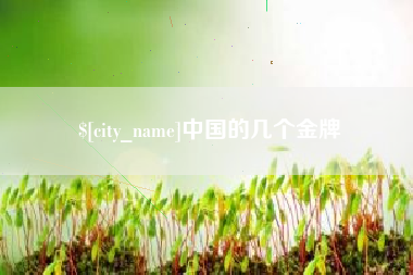 长春中国的几个金牌