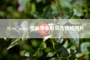 长春奥运夺金时刻九宫格图片