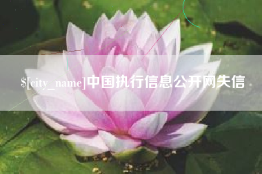 长春中国执行信息公开网失信