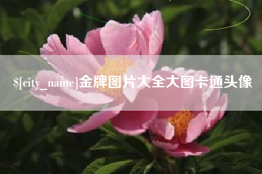 长春金牌图片大全大图卡通头像