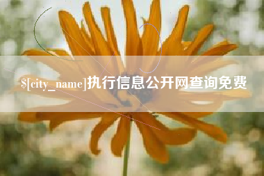 长春执行信息公开网查询免费