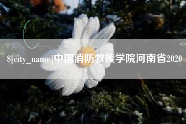 长春中国消防救援学院河南省2020